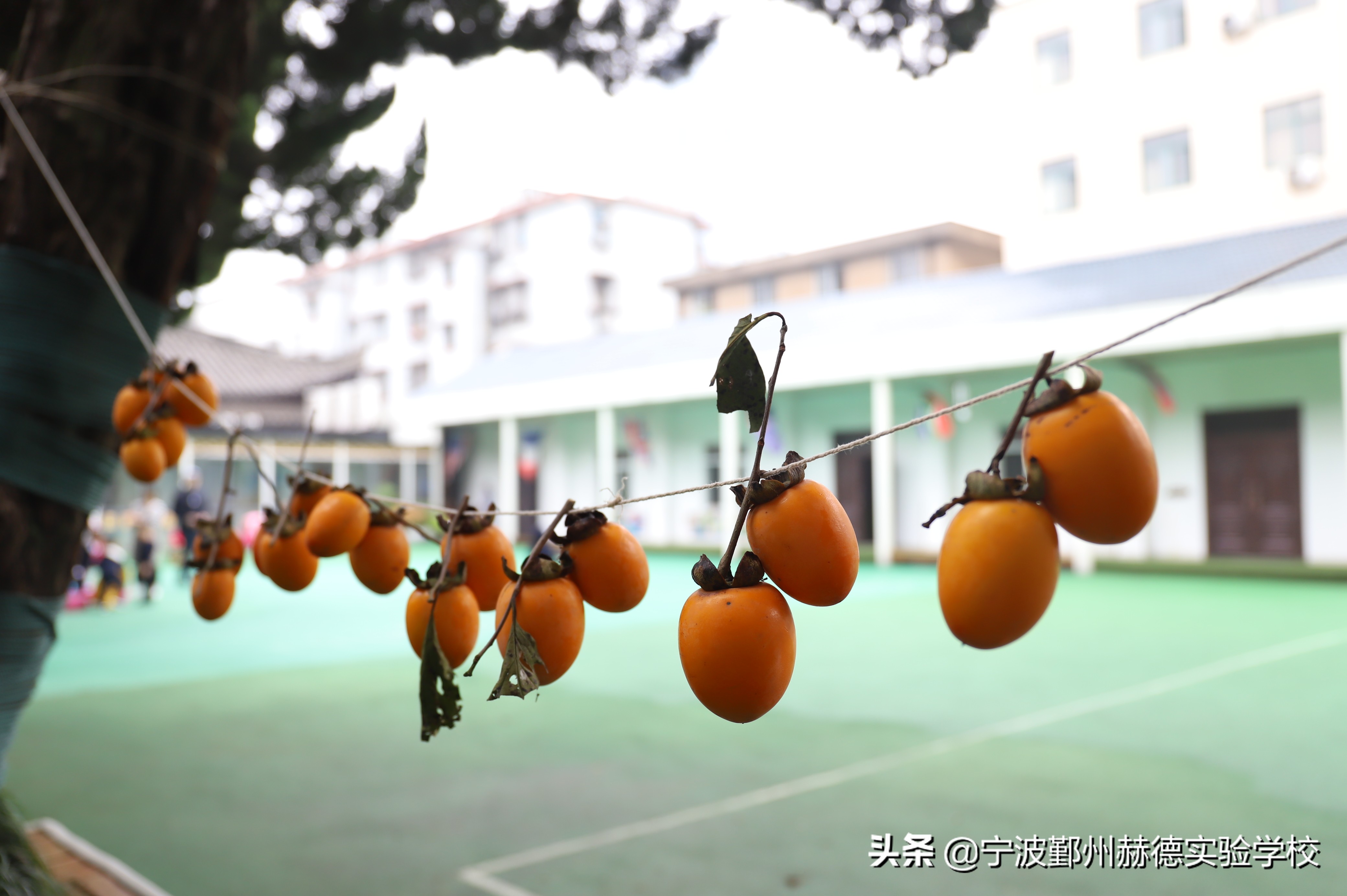 这所“相貌平平”的幼儿园，为什么宁波家长排着队想把孩子送进去