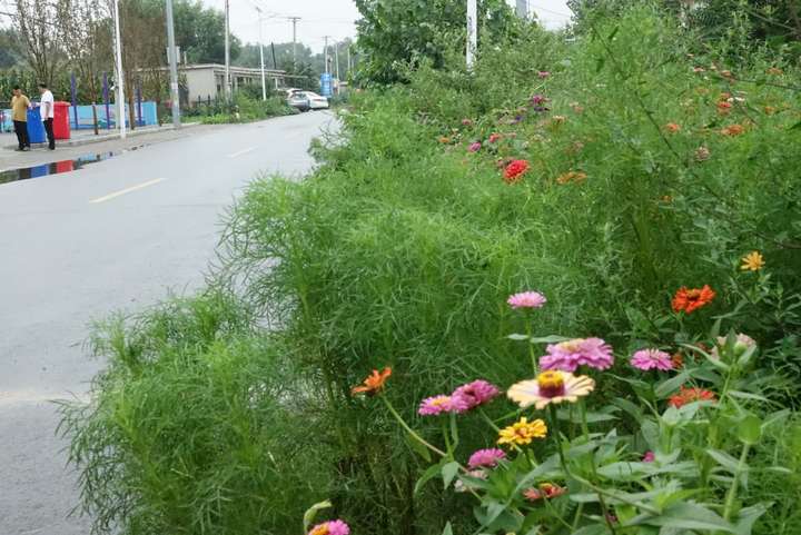 「鞍山：走向我们的小康生活」台安大于村丨从贫困村到头排村的转换“密码”