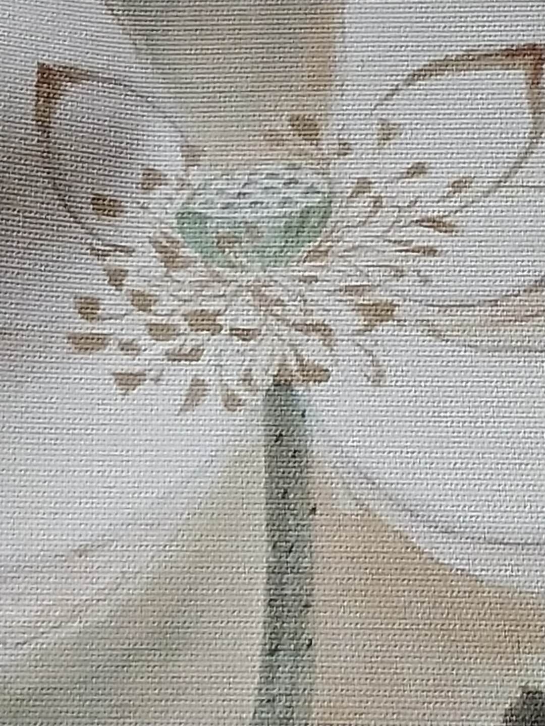 顶级荷花图,精品荷花品种大全