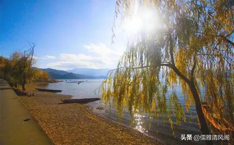 都市情感：大姑姐爱上了我前夫（二）