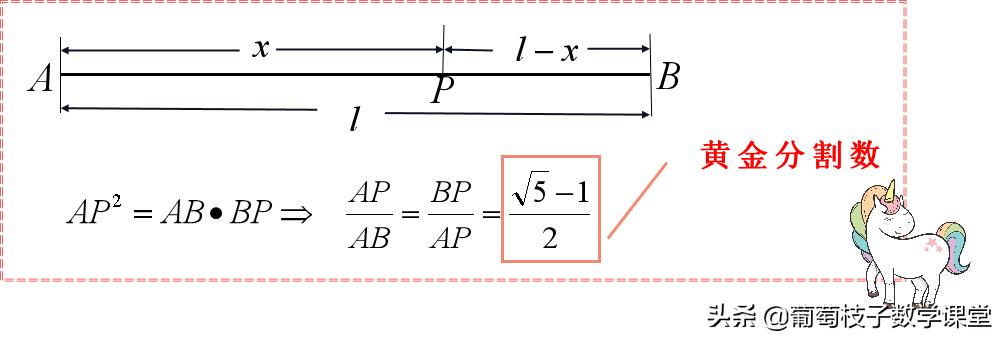 关于黄金比的应用,与黄金比例有关的东西