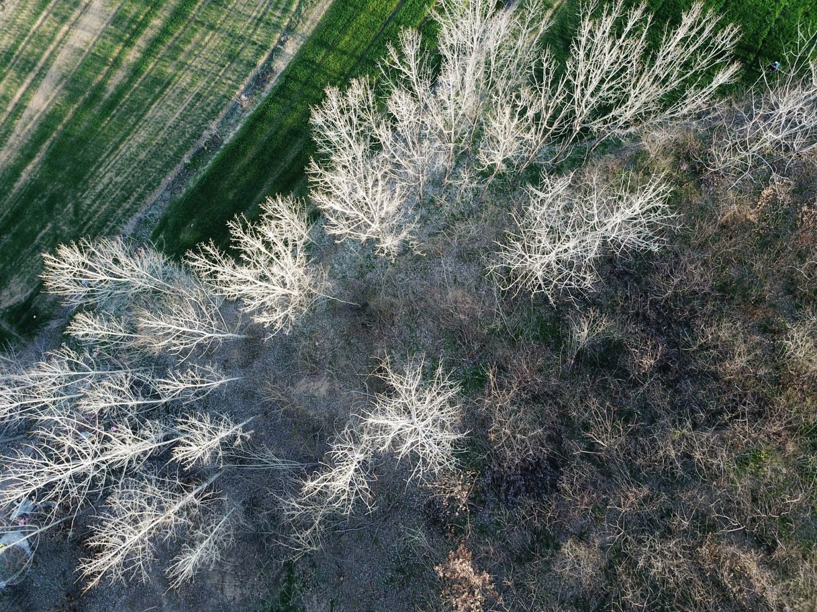 摩托周边旮旯游——探访明光法华禅庵塔