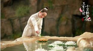 白浅说离镜终其一生都在追寻,白浅骂离镜和玄女天生一对