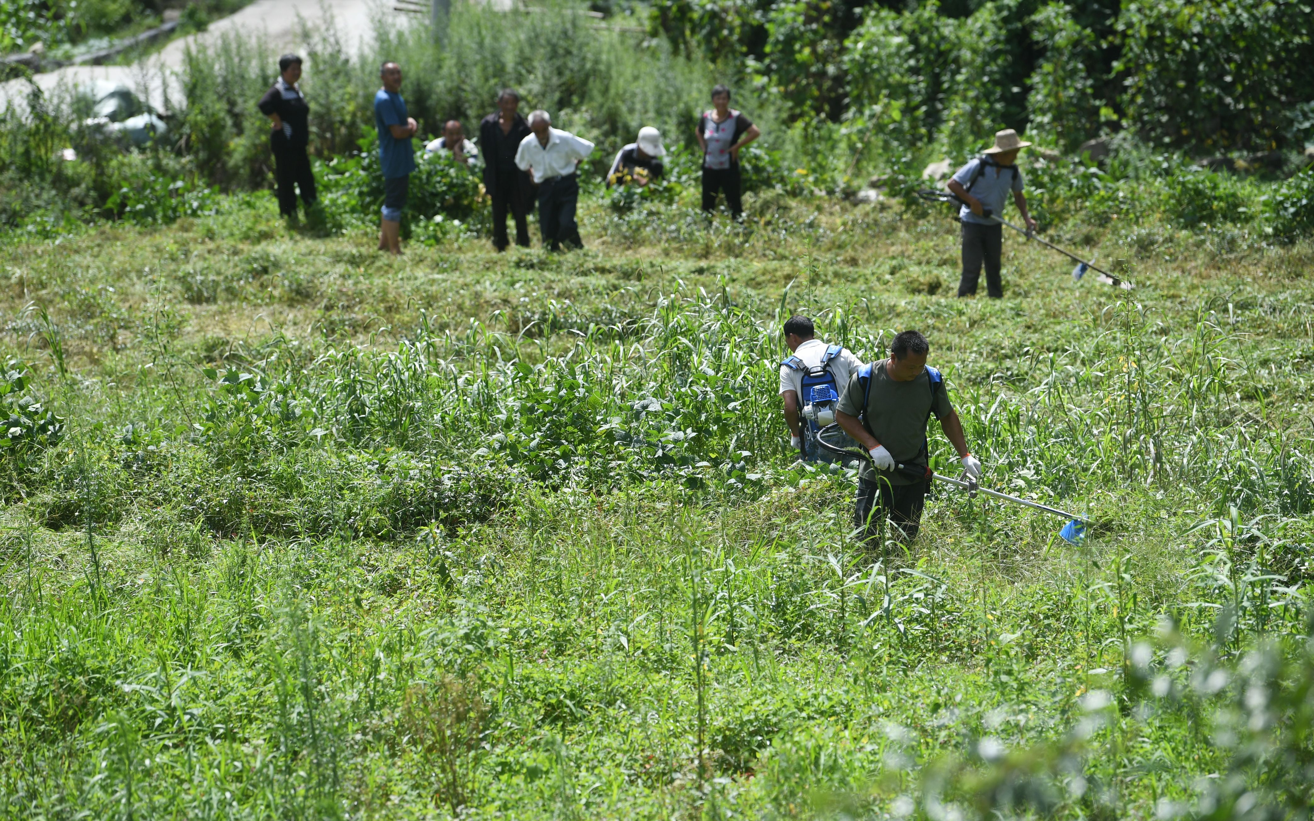 土家村寨枫香河：木楼重生追回落后的三十年