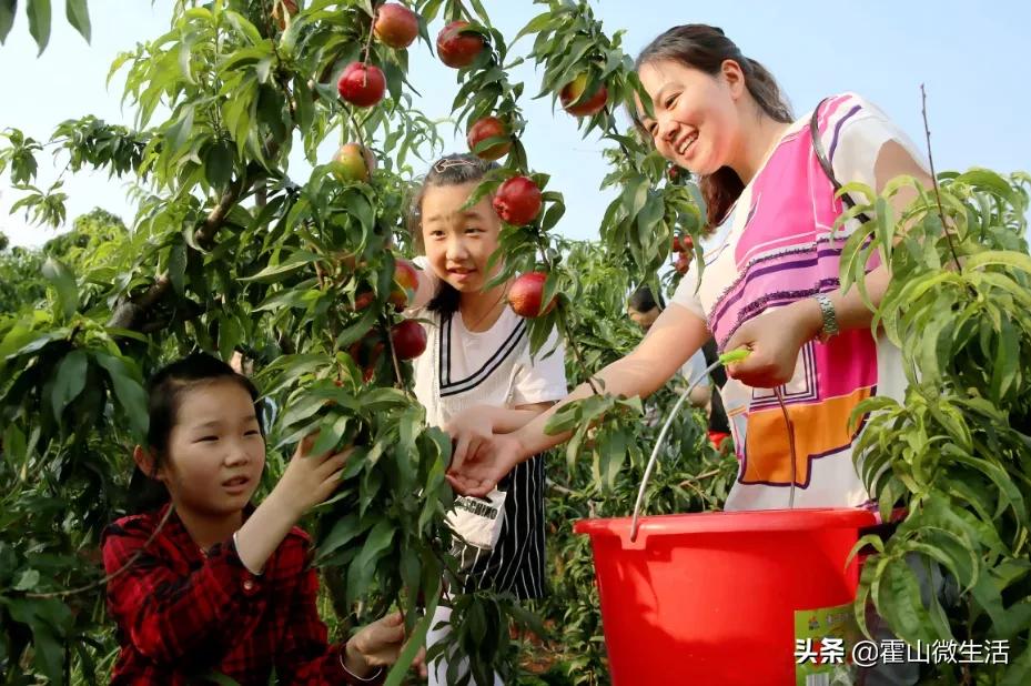 安徽霍山旅游景区第一视角,安徽霍山旅游推荐