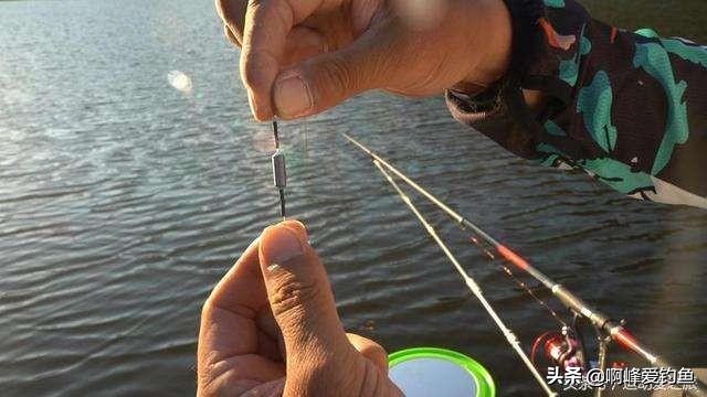 钓鱼初学入门基础知识,新手学习钓鱼入门基本知识