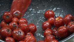 糖雪球的正确挂霜方法可以放几天,糖雪球挂霜正确方法