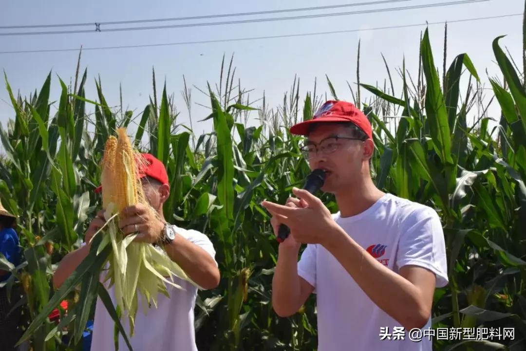 运河古城中原粮仓华昌化工用“质量、口碑”筑梦希望的田野