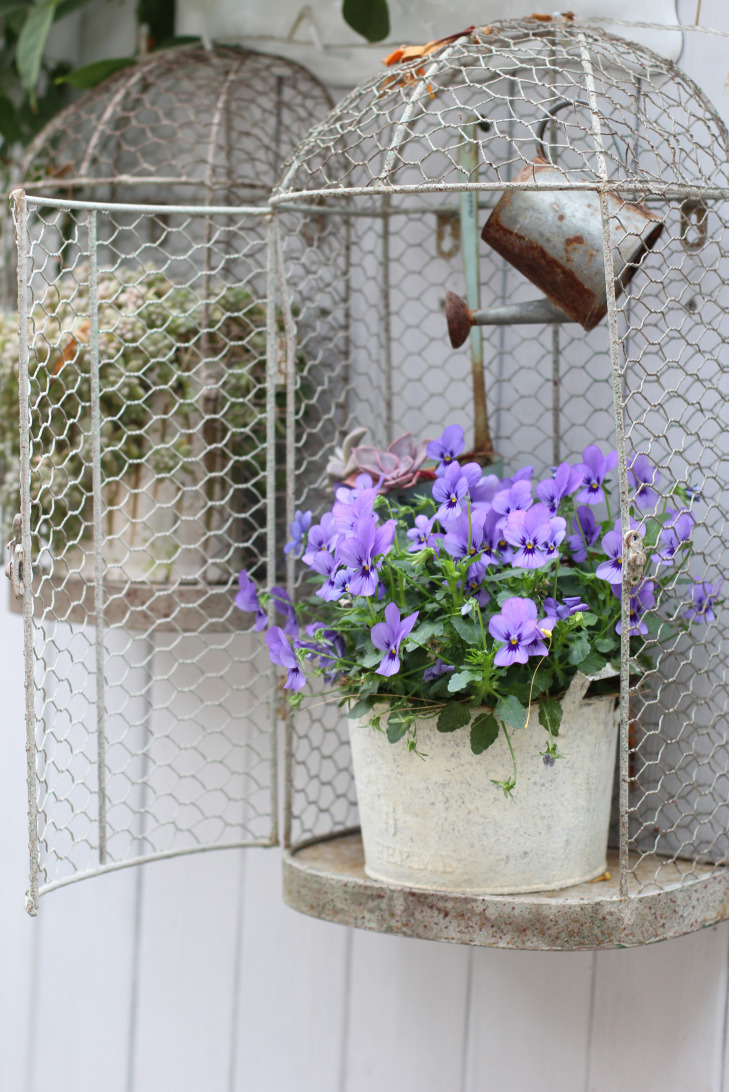 一个重度搪瓷爱好者的杂货花园