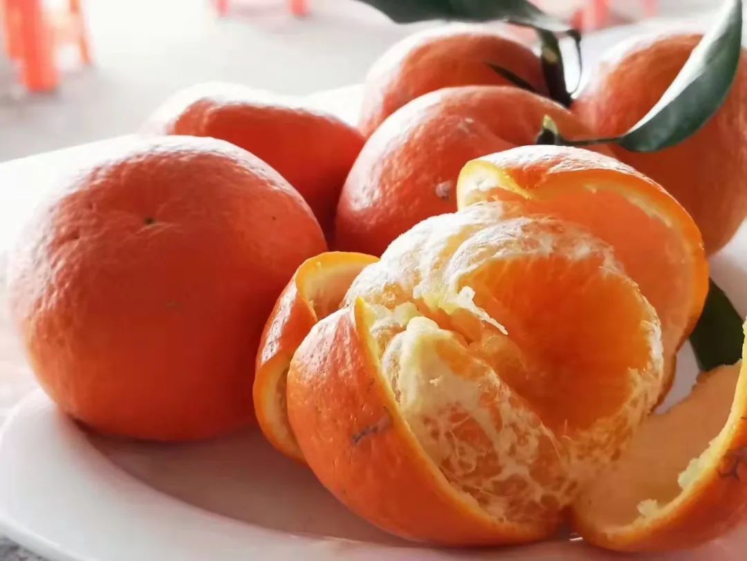 清远冬季水果,清远冬季水果采摘