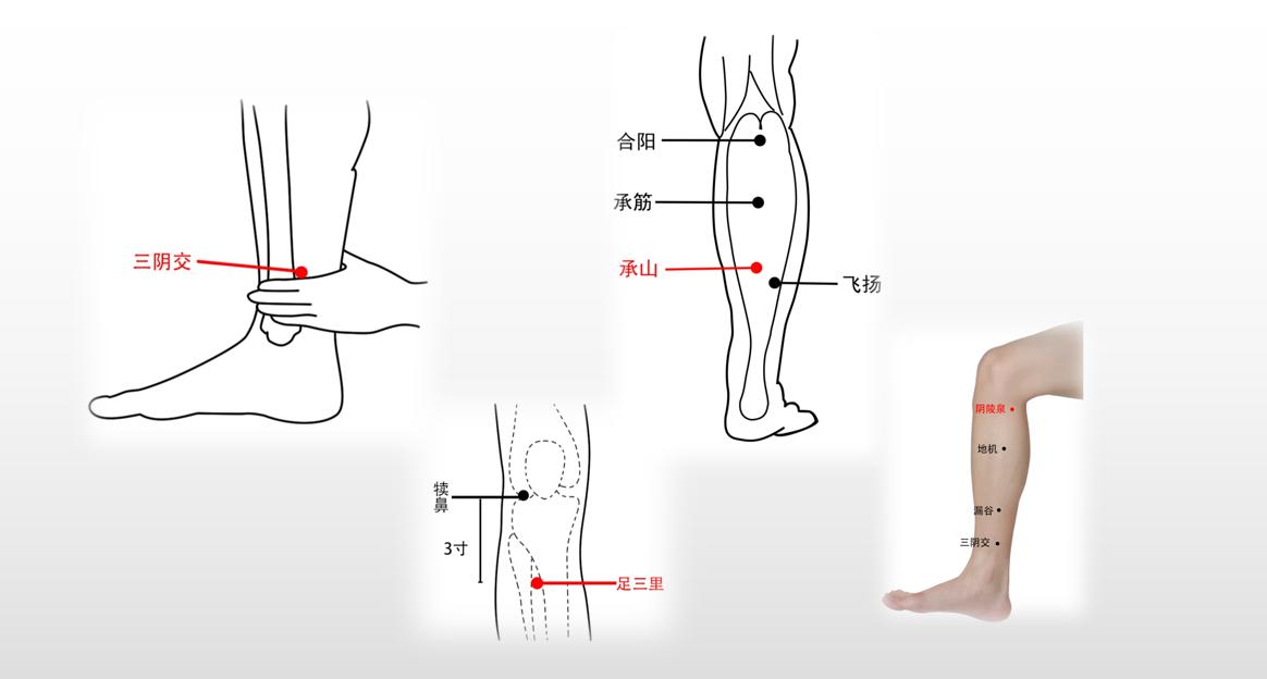 脸部油腻长痘是哪有湿气,脸部出油起疙瘩是什么原因