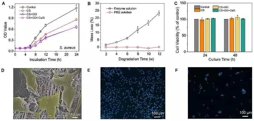 上海交大：用于引导骨再生的新型仿生多功能双层纳米复合膜材料
