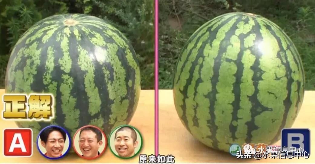 日本水果店怎么挑选,正宗日本水果店