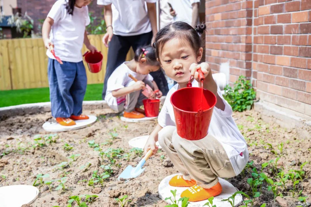 郑州金水区新开的托幼一体园,郑州中原区托幼园0-3岁