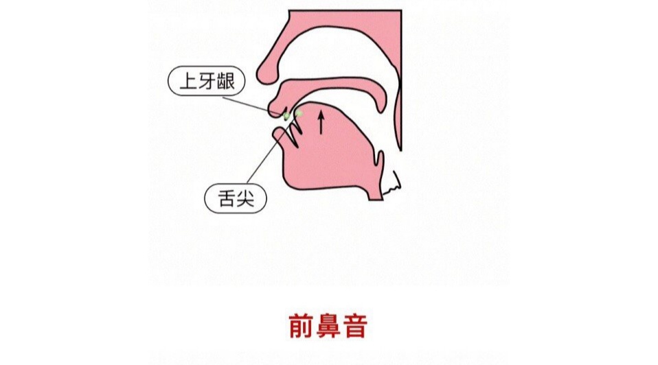 怎么知道用前鼻韵母还是后鼻韵母,前鼻韵母un和后鼻韵母ong区别教学