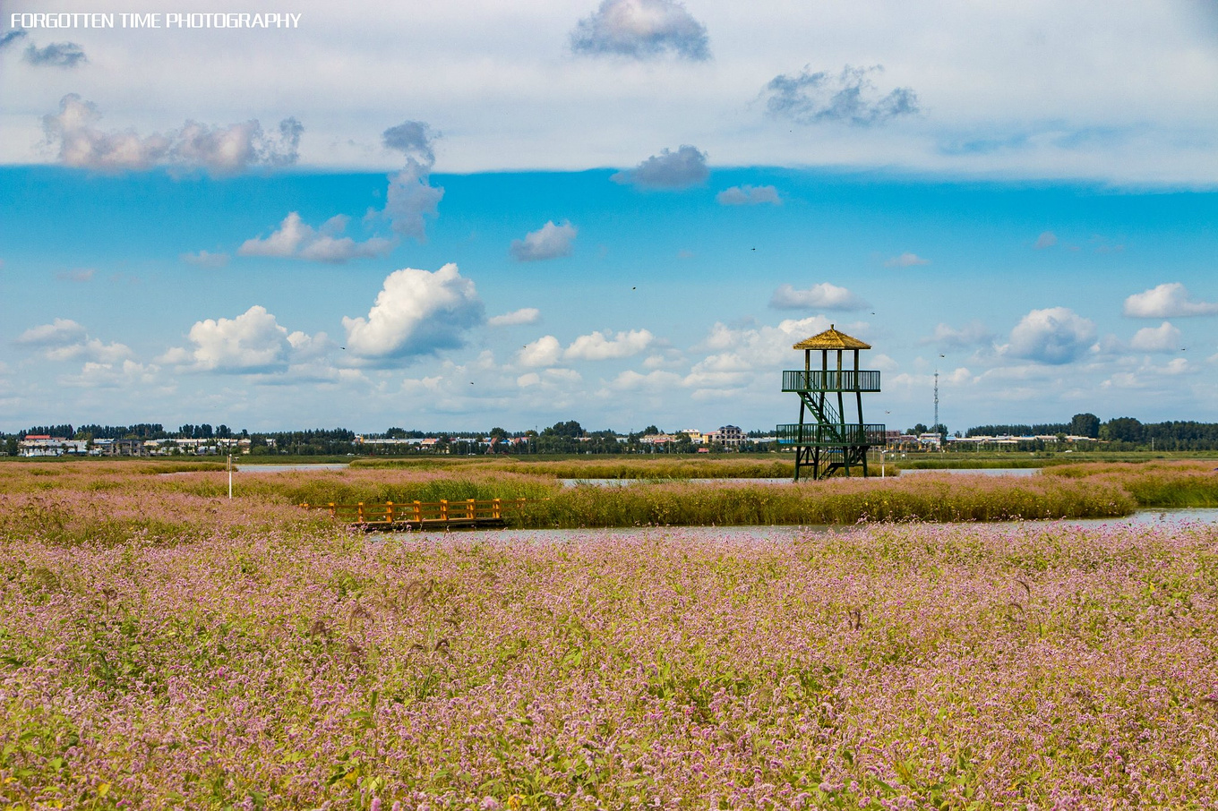 呼兰河口湿地有什么好玩的吗,哈尔滨呼兰河湿地美景