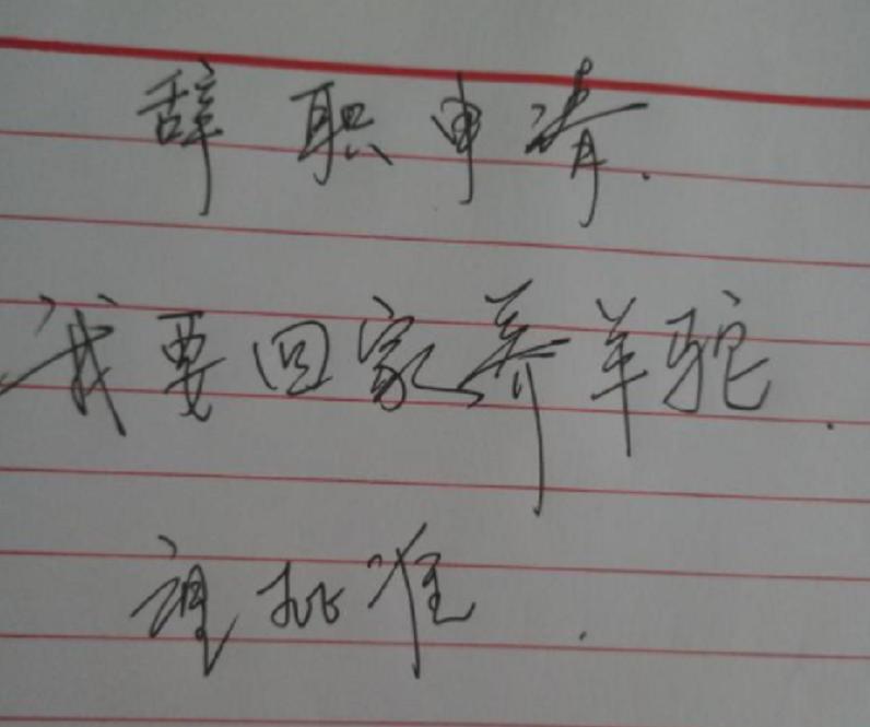 90后辞职信说出来了多少人的内心,90后辞职00后辞职奇葩理由