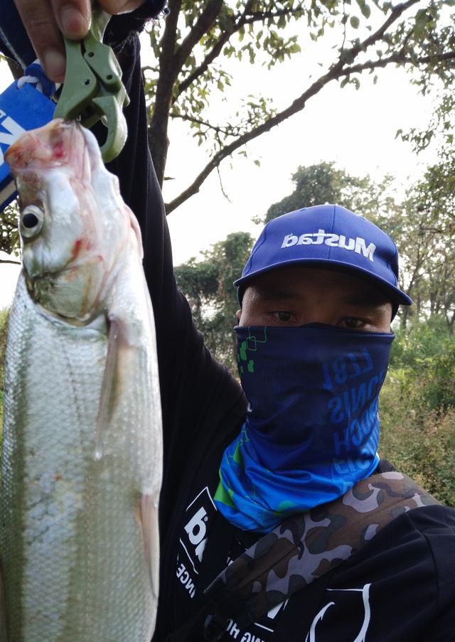 铅头钩和德州钓组哪种好,实战铅头钩最强绑法