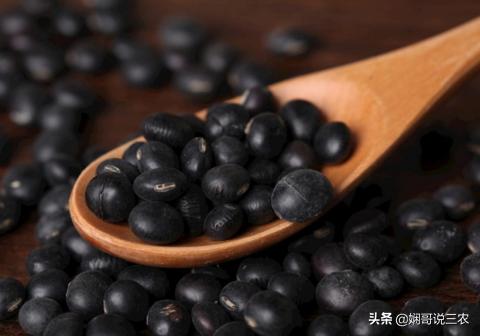 黑豆正确的营养价值和功效,黑豆营养价值特点及功效