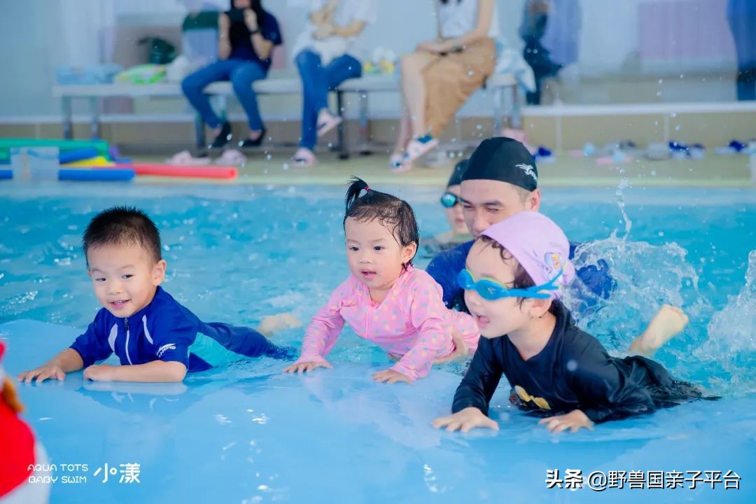 少儿篮球运动哪家好,权威少儿篮球兴趣班机构排名