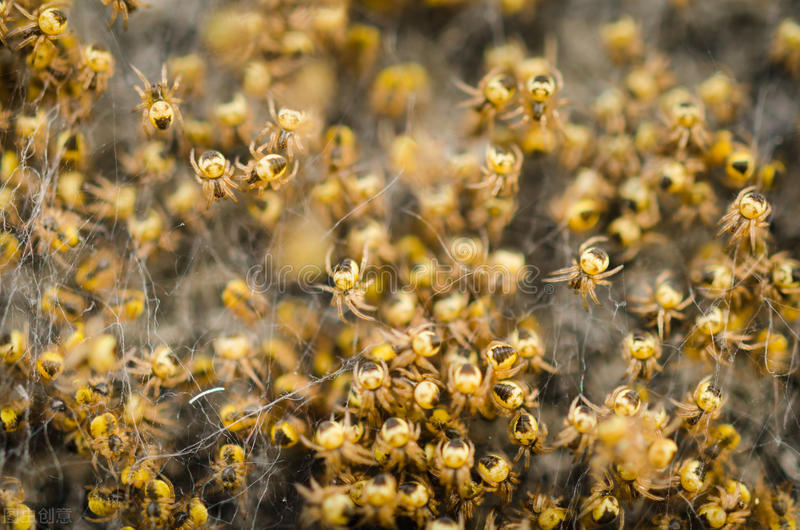 江户川乱步妖异惊悚之作,江户川乱步猎奇推理小说