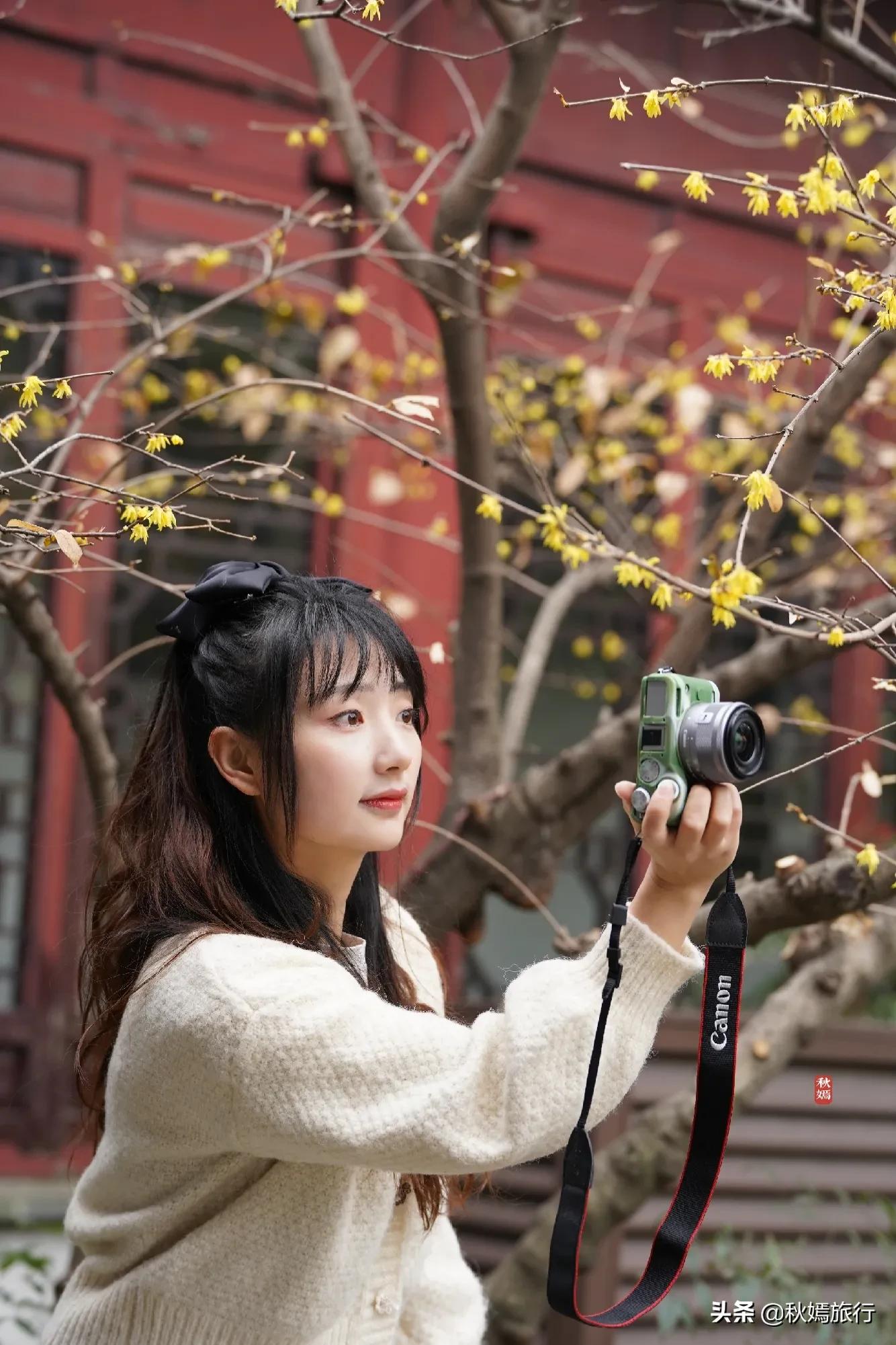 冬游常熟燕园赏蜡梅花,方桥头梅干菜扣肉饼5元一只,顾客盈门