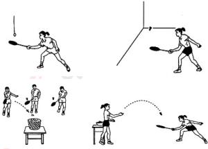 中小学体育教师资格证考试科目,考体育教师资格证的十个题目