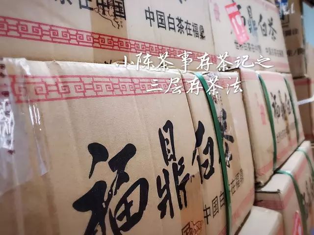 白茶怕水淹吗,白茶怕寒吗白茶怕高温吗