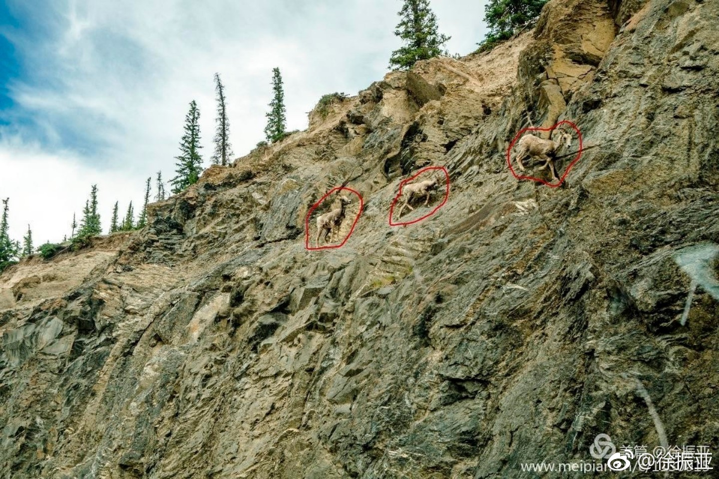 班芙国家公园,班芙国家公园照片