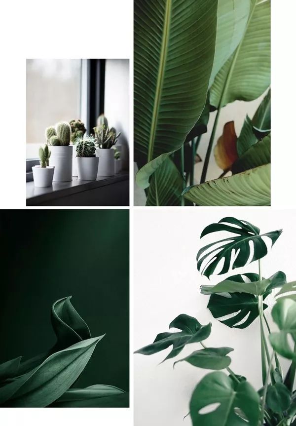 泫雅牛油果绿两件套,泫雅牛油果绿穿搭