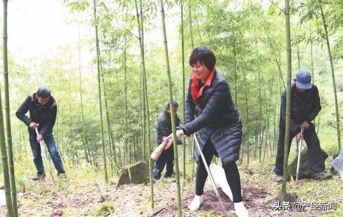 忠县正宗竹笋宴做法,自制笋宴