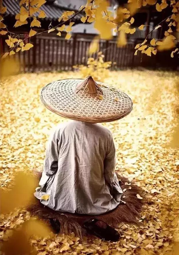 慎独深度好文完整版,慎独深度好文推荐