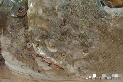 閫忚澶栨寕鐪熷疄浜嬩欢,閫忚澶栨寕鐪熺殑鍋囩殑