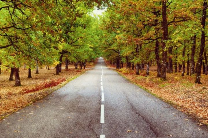 如何从迷茫焦虑变得自律,如何改善自律焦虑