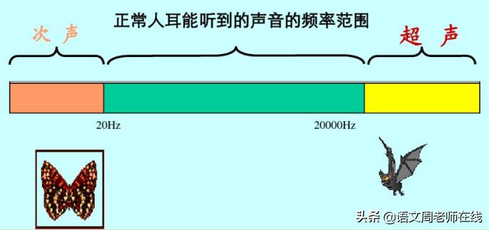 频率公式到底是什么？声音原来这样分类