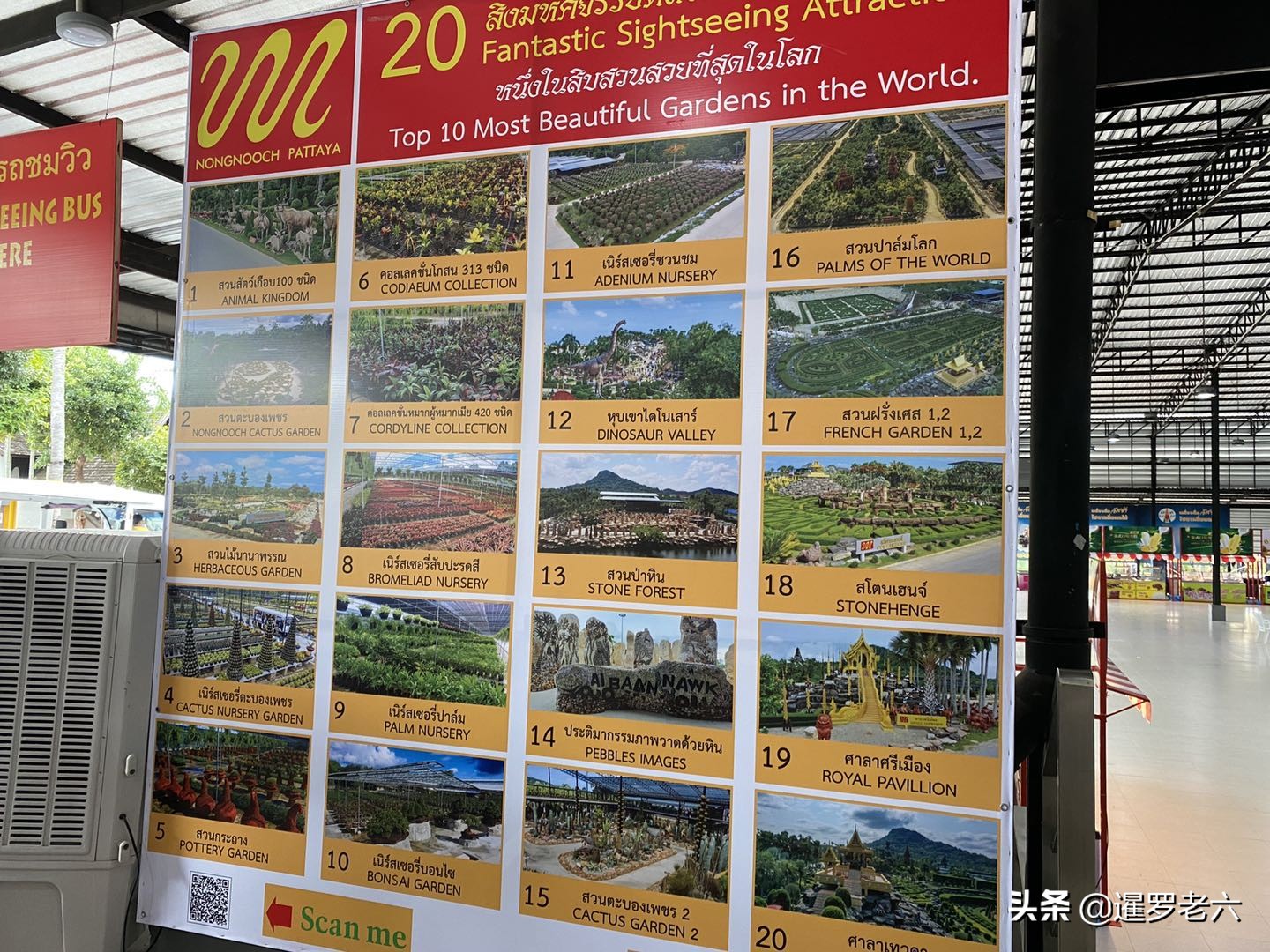 疫情难挡泰国人出游热情，芭堤雅“东芭乐园”依旧火爆