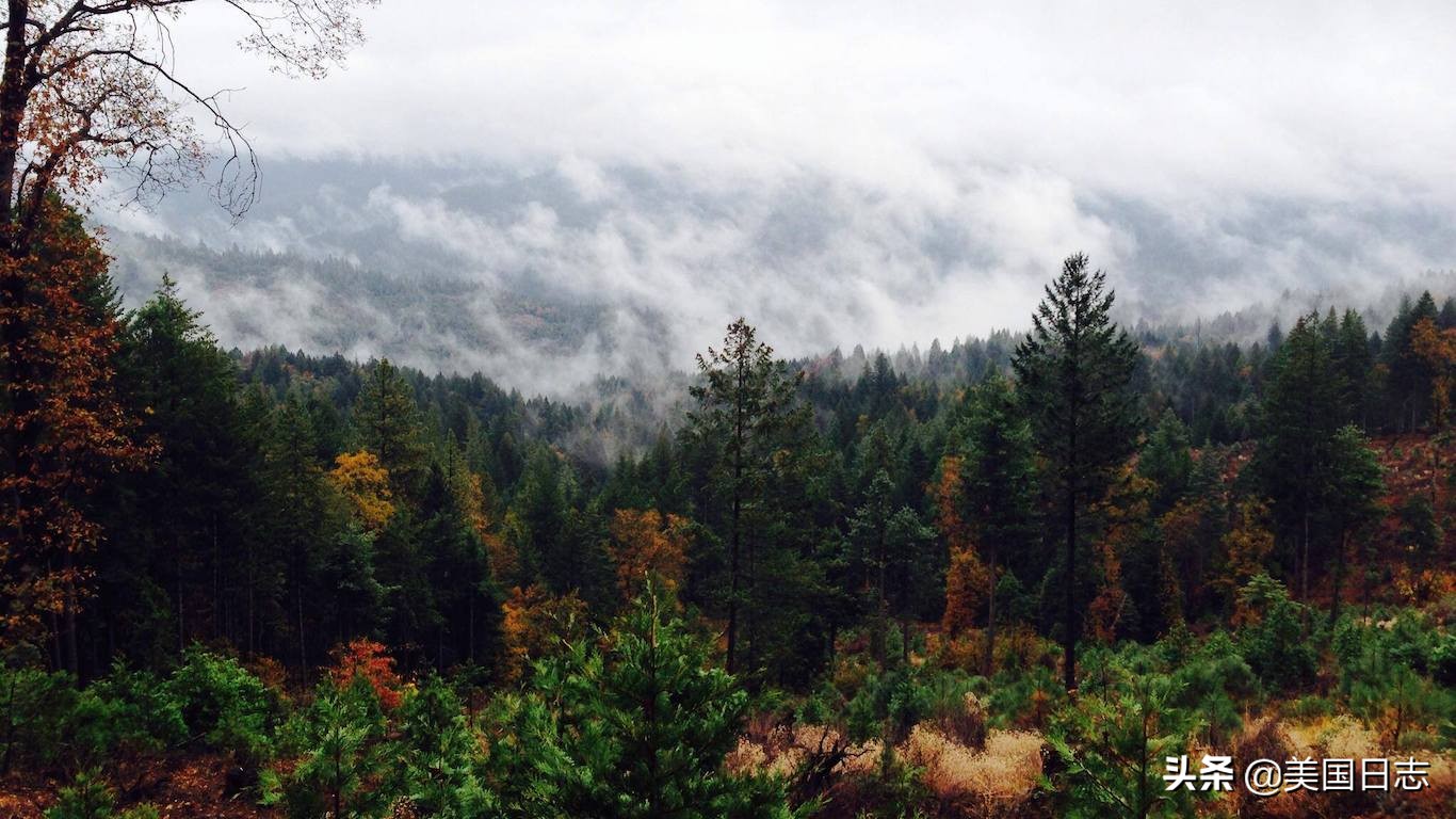 美国私人拥有土地面积排名,美国私人土地拥有者排名