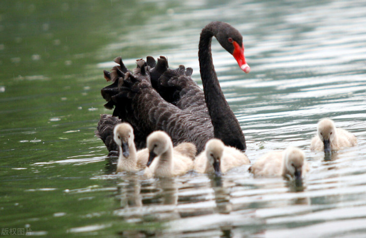 五一自驾游推荐景点武汉,武汉适合周末出游的地方