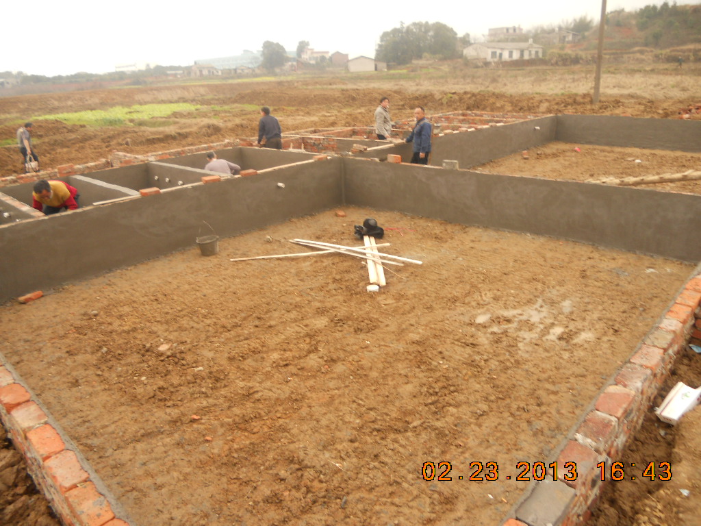 湖南最好的锦鲤养殖基地,湘潭锦鲤养殖