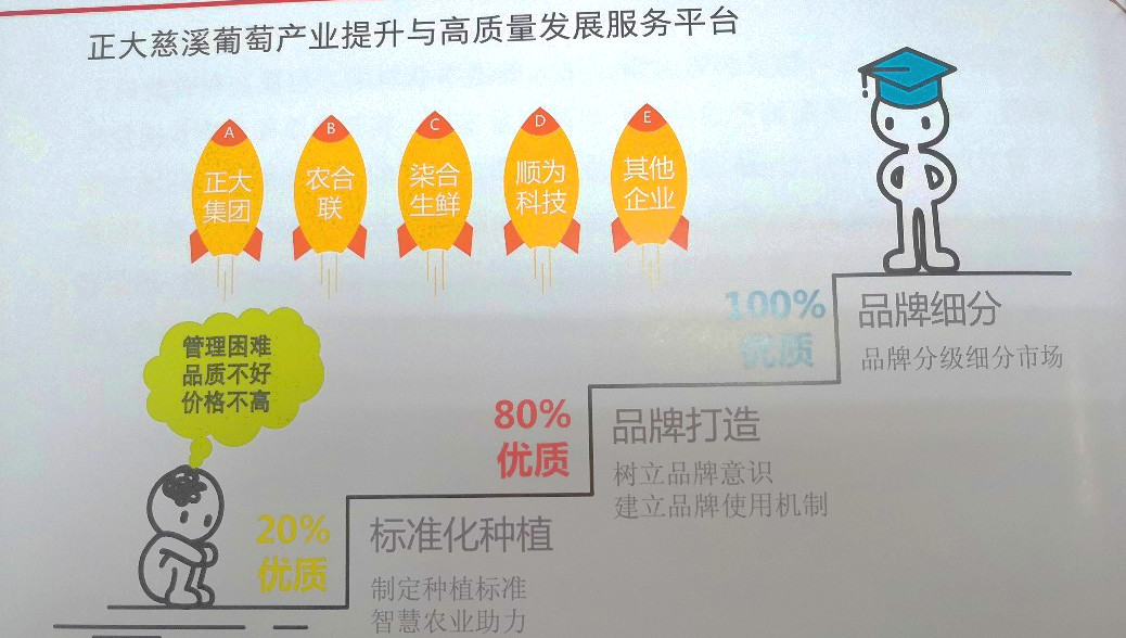 插上农业物联网的翅膀,慈溪葡萄能否扭转产业局面?