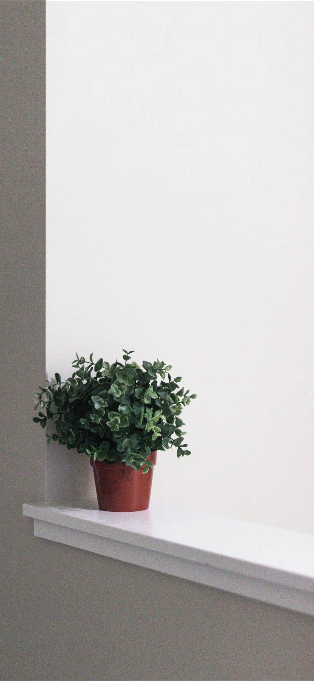 洒脱逍遥壁纸,手机壁纸自由洒脱