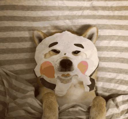 跟风买的网红产品,跟风牌面膜