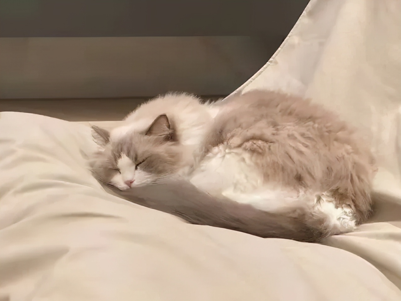 万科御澜道意式极简,万科御澜道欧式风格