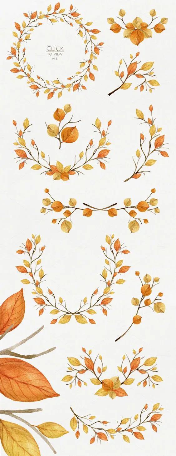 分享一组水彩花卉过程图,超写实水彩花图片