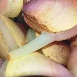 青岛西海岸30多项特产!这鱼还登上央视成了网红