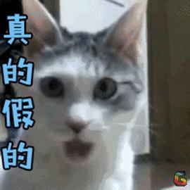 猪肉里发现虫子,猪肉里面有虫子取出来全过程