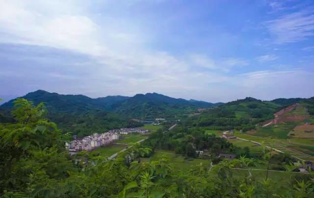 成都拍了拍你，一亿成都粉get心动讯息