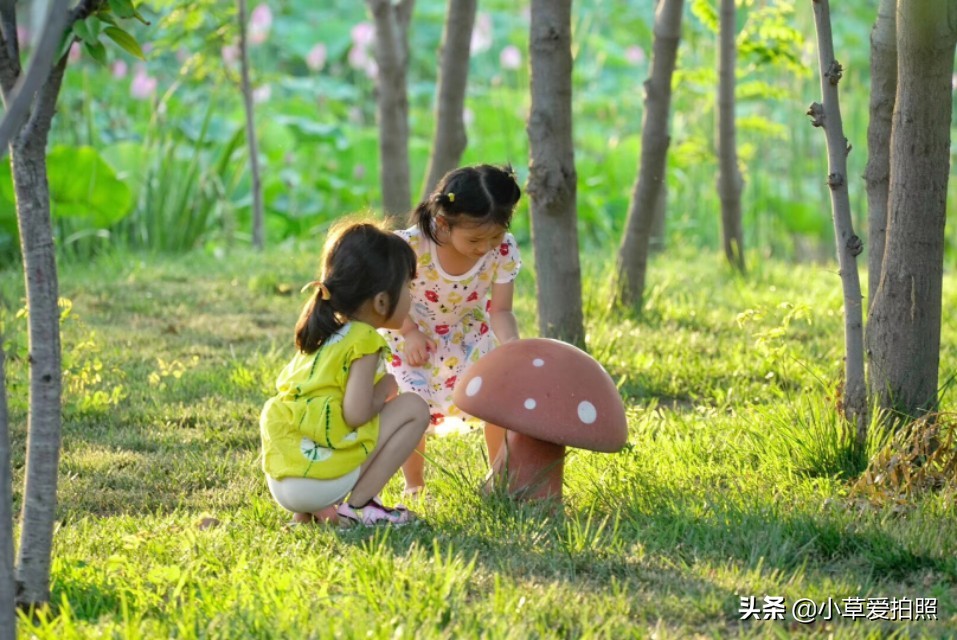 威海羊亭小区,威海羊亭露营