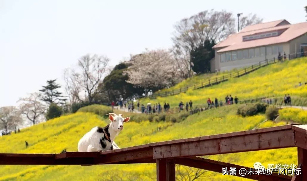 母亲牧场要玩多久,低成本花园家庭农场亲子乐园