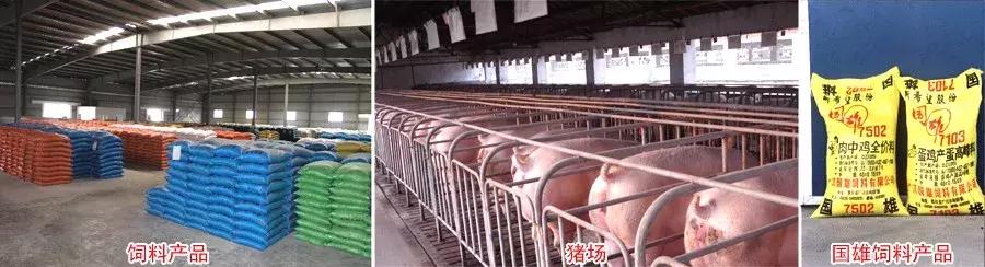 丝路先锋⑤新希望集团：“一带一路”上的跨界转型，刘永好在下一盘大棋